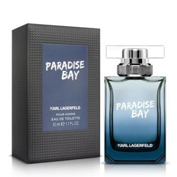Paradise Bay (Férfi parfüm) Teszter edt 100ml